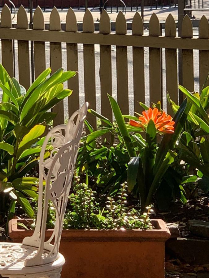 Burwood Bed And Breakfast Сидней Экстерьер фото